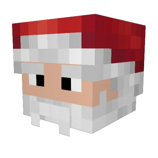 ReonaI Minecraft avatar head, 3D render