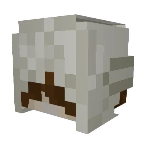 Reonmaa Minecraft avatar head, 3D render