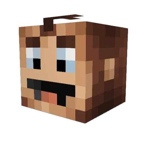 Rep24 Minecraft avatar head, 3D render