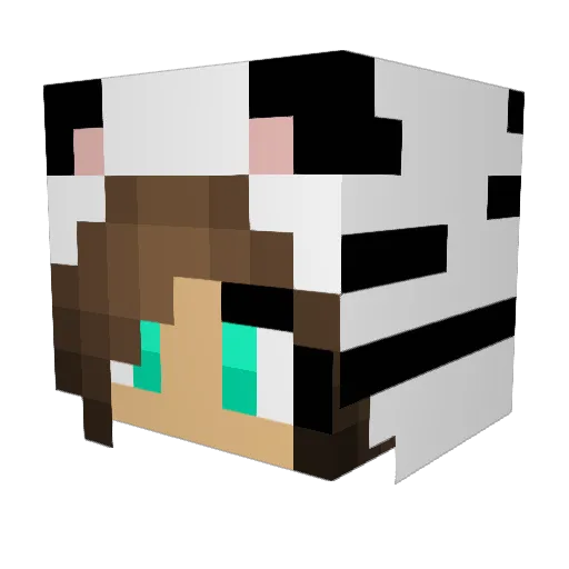 RephoMinecraft Minecraft avatar head, 3D render