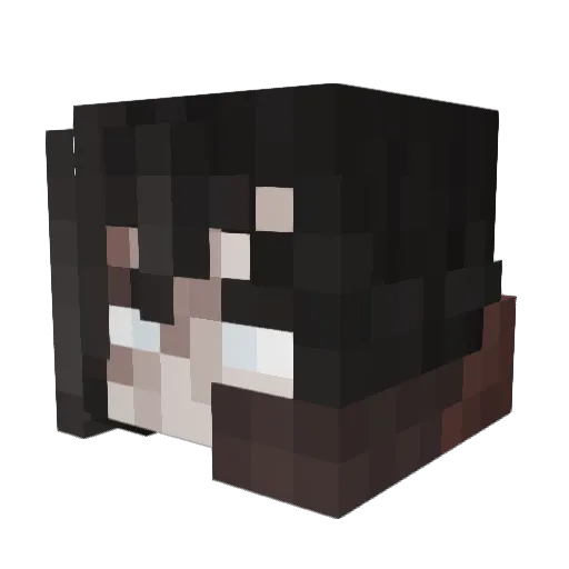 RepliedGenie43 Minecraft avatar head, 3D render