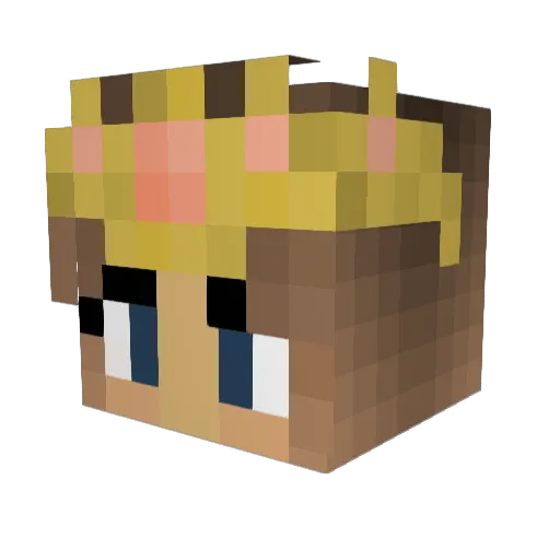Repo96 Minecraft avatar head, 3D render