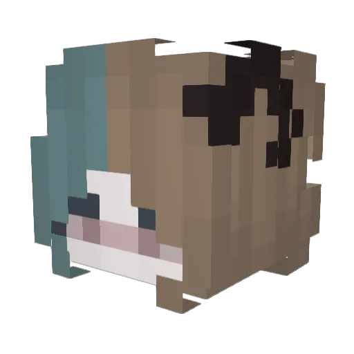 Reppart4 Minecraft avatar head, 3D render