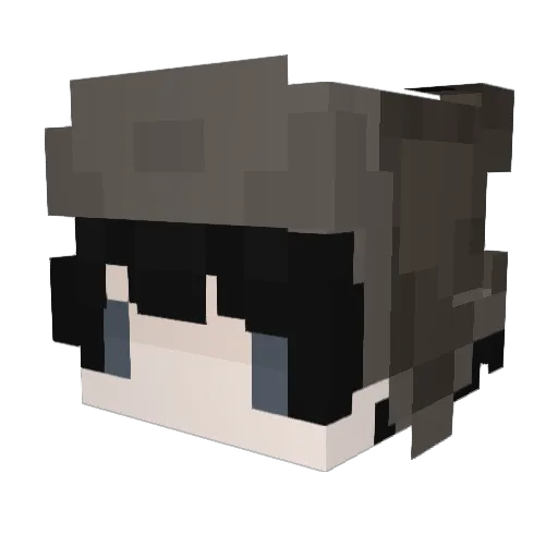 Reprimirme Minecraft avatar head, 3D render
