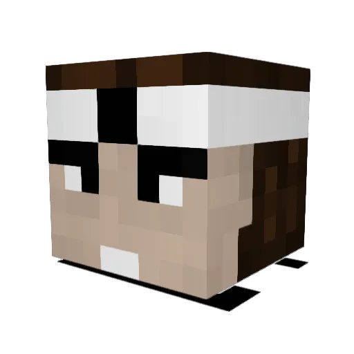 Reps4Jesus10 Minecraft avatar head, 3D render