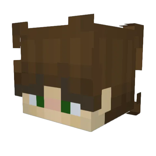 Repsavage Minecraft avatar head, 3D render