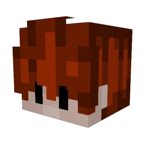 Repse27 Minecraft avatar head, 3D render