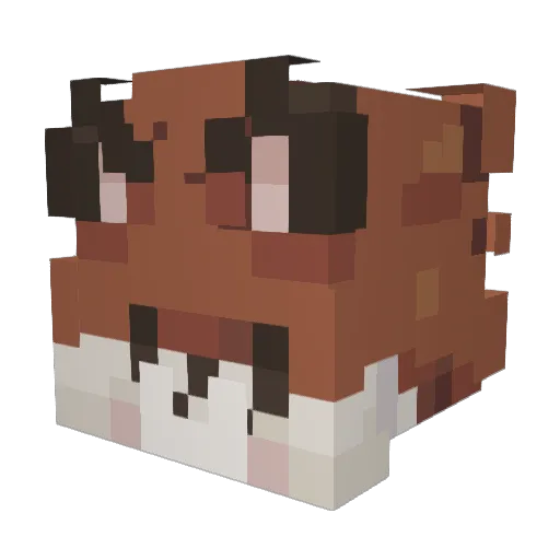 Reptarr23 Minecraft avatar head, 3D render