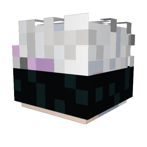 Repulga Minecraft avatar head, 3D render