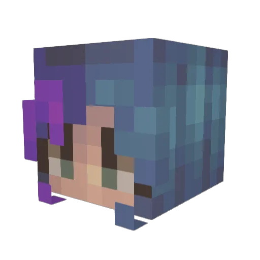 Requ1 Minecraft avatar head, 3D render