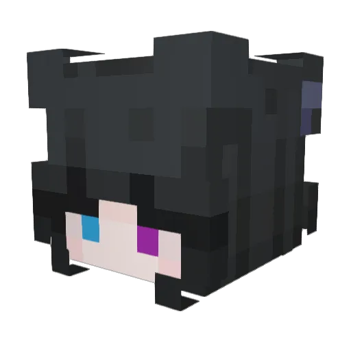 Requel Minecraft avatar head, 3D render