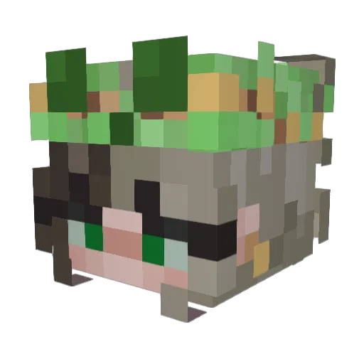 Requete122 Minecraft avatar head, 3D render