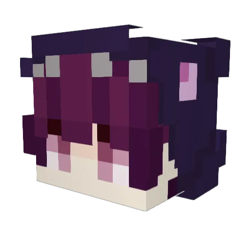 Requian73 Minecraft avatar head, 3D render