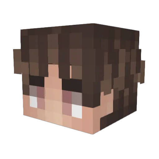 Requiem1212 Minecraft avatar head, 3D render