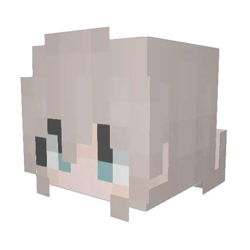 Requiemgaming9 Minecraft avatar head, 3D render