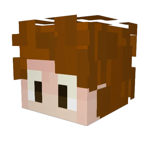 RequiredSandwich Minecraft avatar head, 3D render