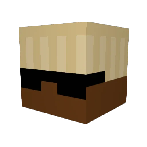Requis_gaming69 Minecraft avatar head, 3D render