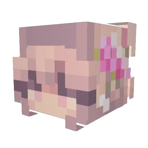 Requxiz Minecraft avatar head, 3D render