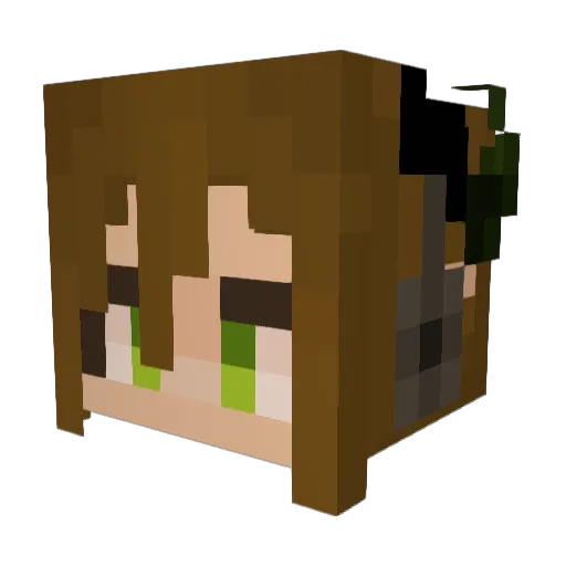 Reqweem Minecraft avatar head, 3D render