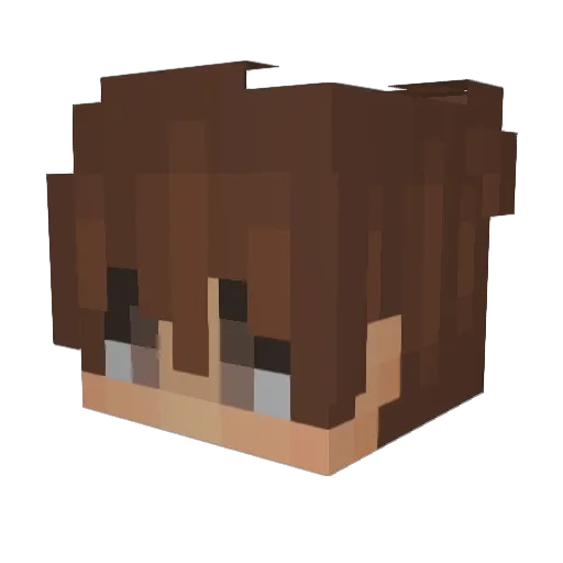 ReqzIsDaddy Minecraft avatar head, 3D render