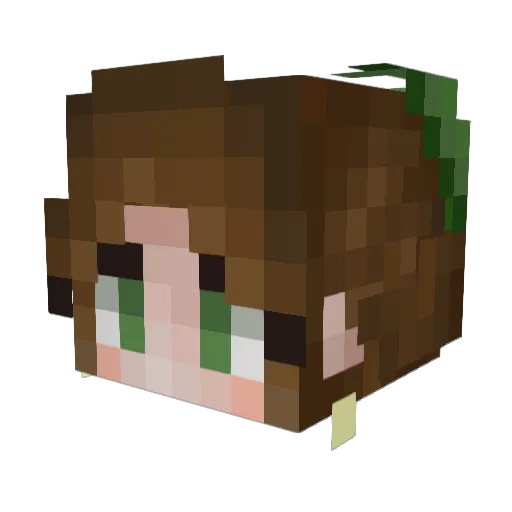 Rerosa1999 Minecraft avatar head, 3D render