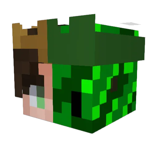 Rertso Minecraft avatar head, 3D render