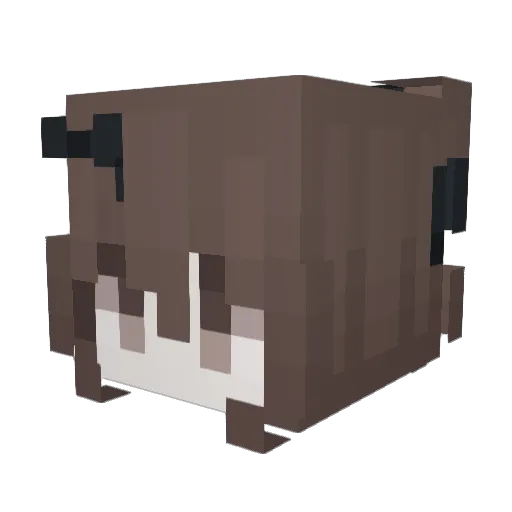 Res0_0 Minecraft avatar head, 3D render