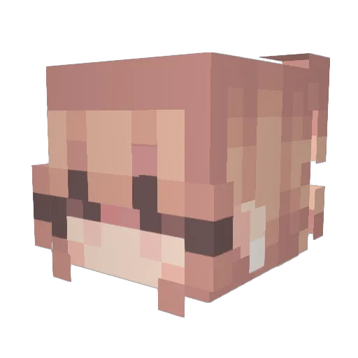 ResaLost Minecraft avatar head, 3D render