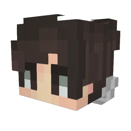 RescuedWing Minecraft avatar head, 3D render