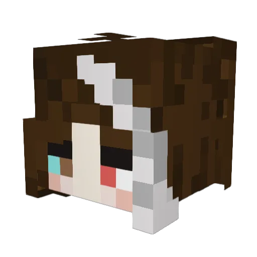ResetRobin Minecraft avatar head, 3D render