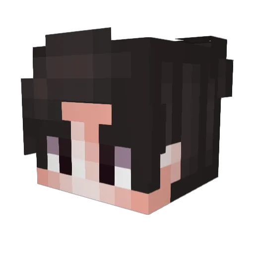 Reshatel Minecraft avatar head, 3D render