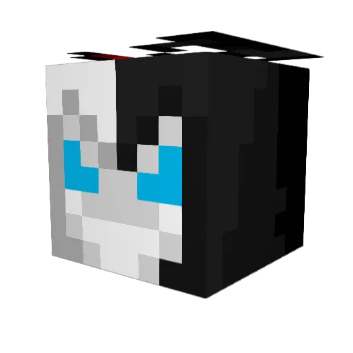 Reshiram0 Minecraft avatar head, 3D render