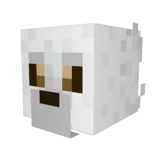 Reshirjam Minecraft avatar head, 3D render