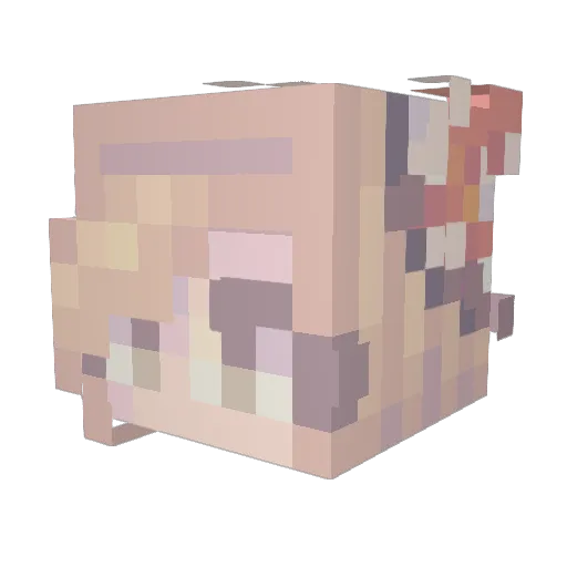 ResidentPetal Minecraft avatar head, 3D render