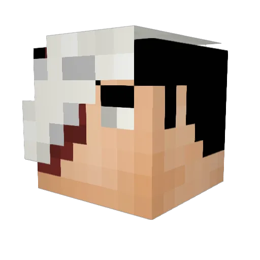 Resident_Junkie Minecraft avatar head, 3D render