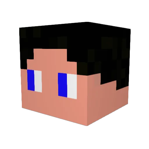 Resident_Recon Minecraft avatar head, 3D render