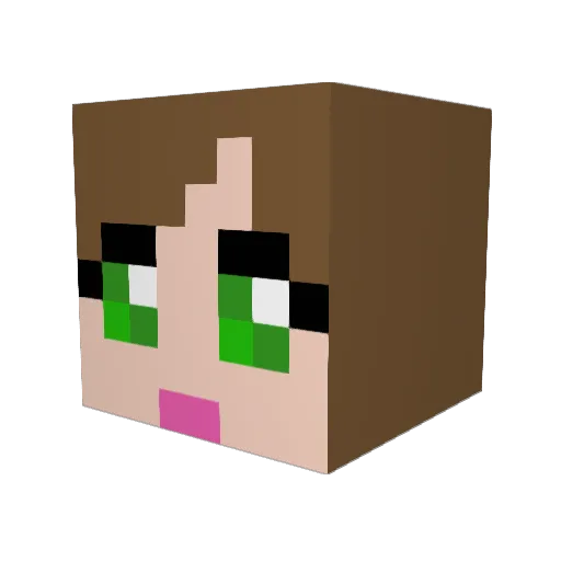 Resilein Minecraft avatar head, 3D render