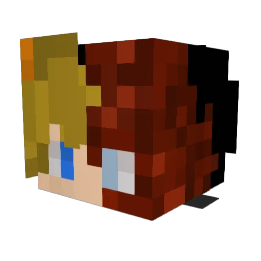Resist0r Minecraft avatar head, 3D render