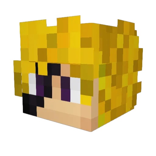 Resist_ Minecraft avatar head, 3D render