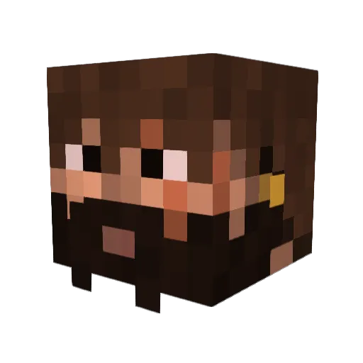 Resistents Minecraft avatar head, 3D render