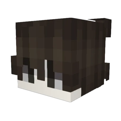 Reskillz Minecraft avatar head, 3D render