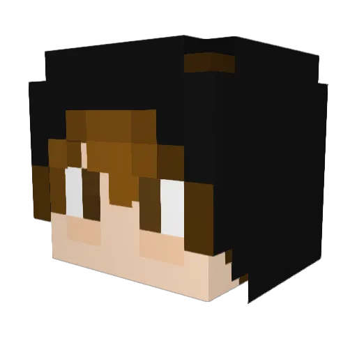Reslach Minecraft avatar head, 3D render