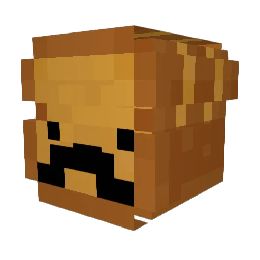 ResolScarft43 Minecraft avatar head, 3D render