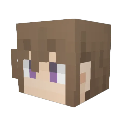 Resonance914 Minecraft avatar head, 3D render