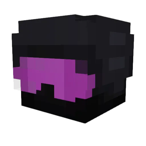 ResonantZoo3988 Minecraft avatar head, 3D render