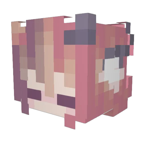 RestlessRedPanda Minecraft avatar head, 3D render