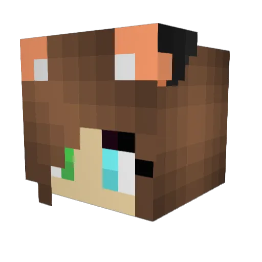 Restless_Fox Minecraft avatar head, 3D render