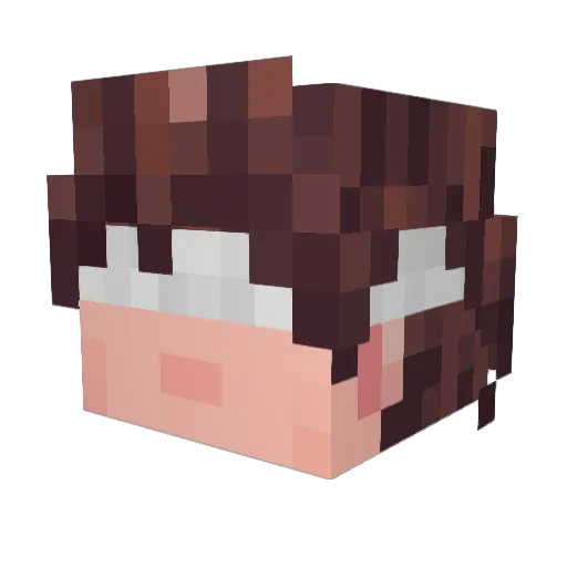 Resultmine Minecraft avatar head, 3D render