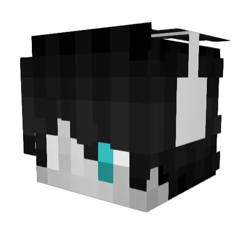 ResusVN Minecraft avatar head, 3D render