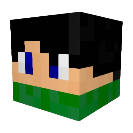 Ret4Y Minecraft avatar head, 3D render